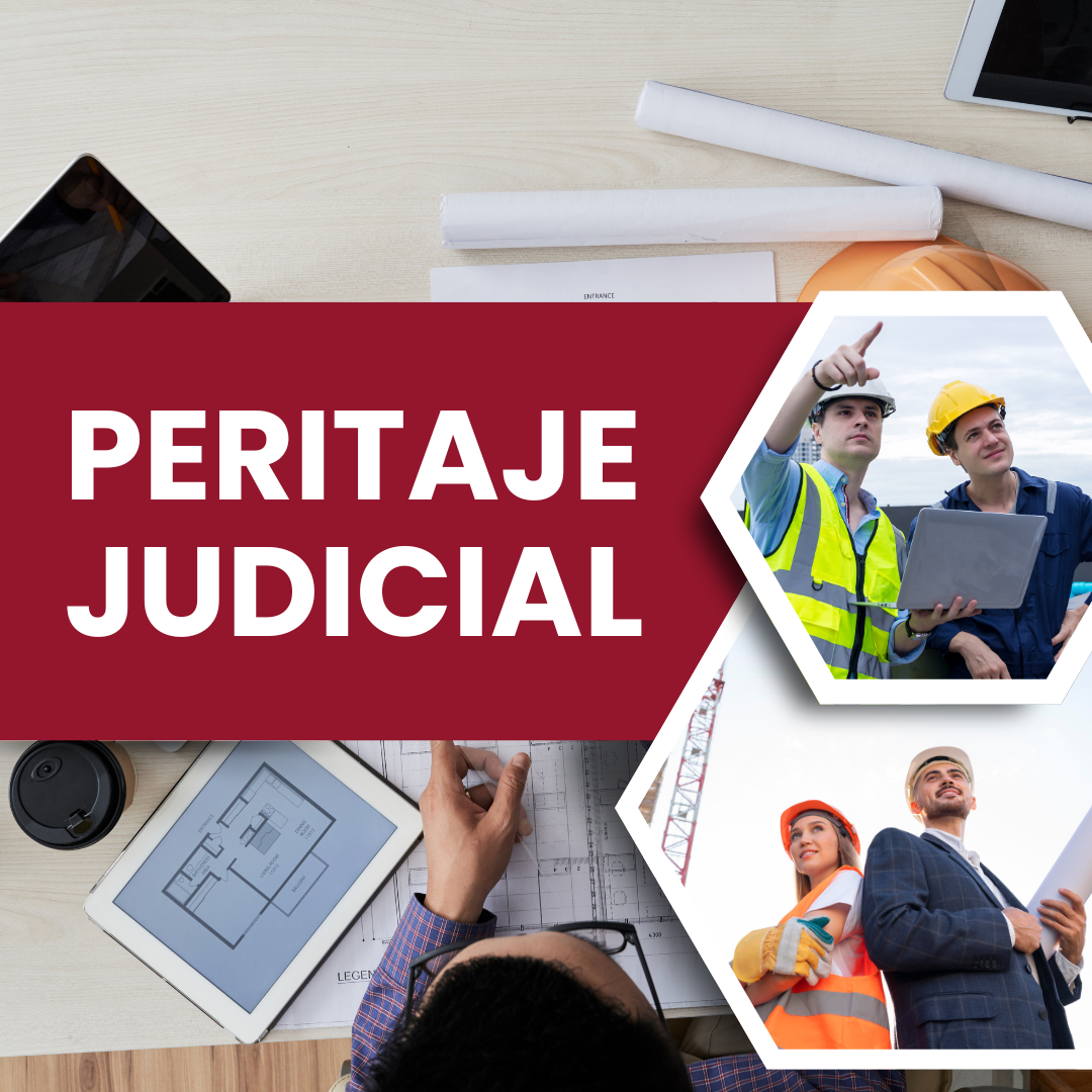 Peritaje Judicial