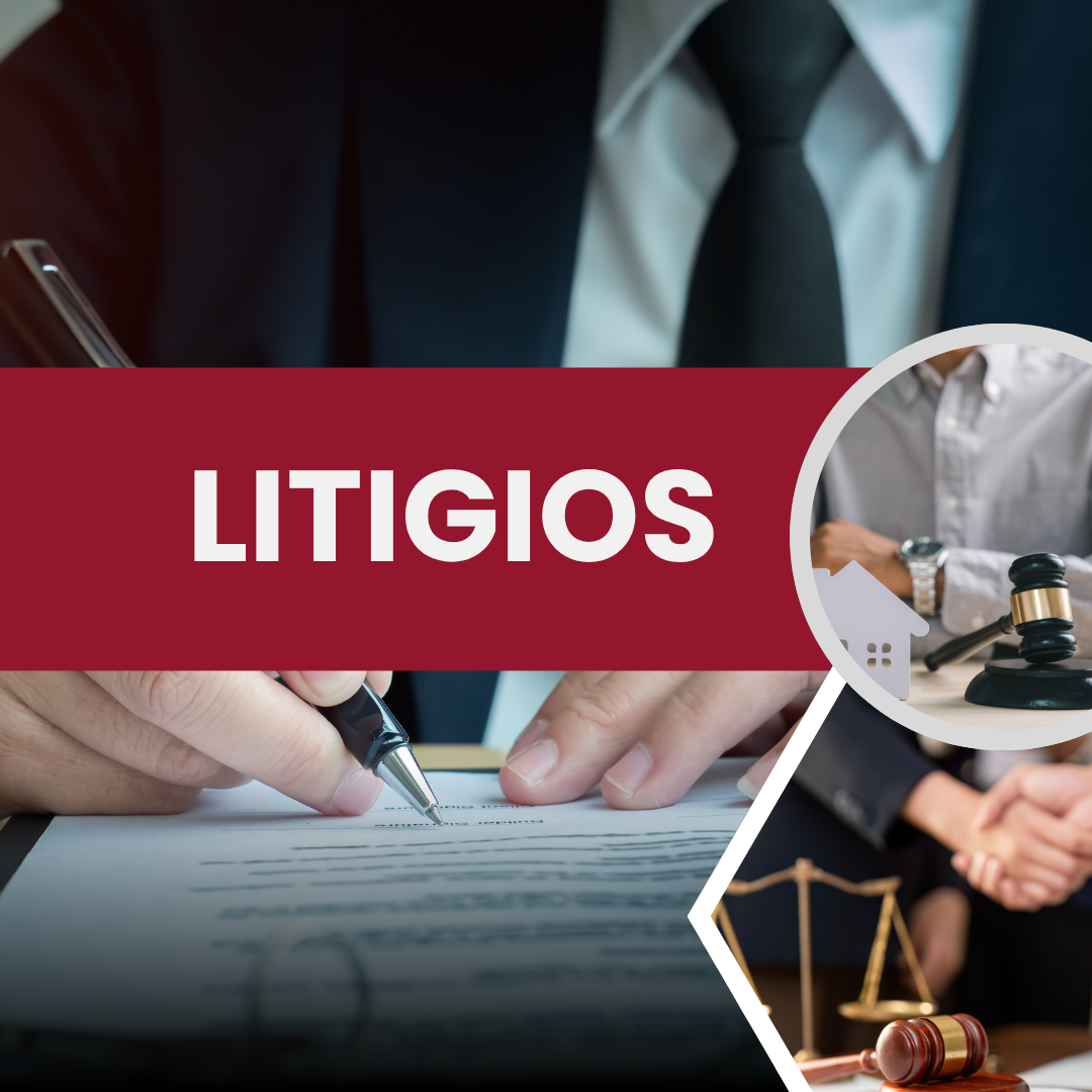 Inicio Litigios