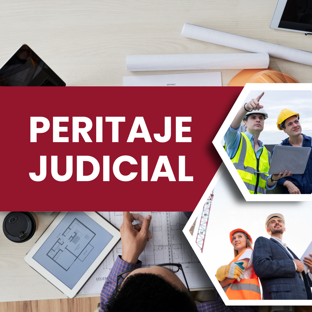 Inicio Peritaje Judicial